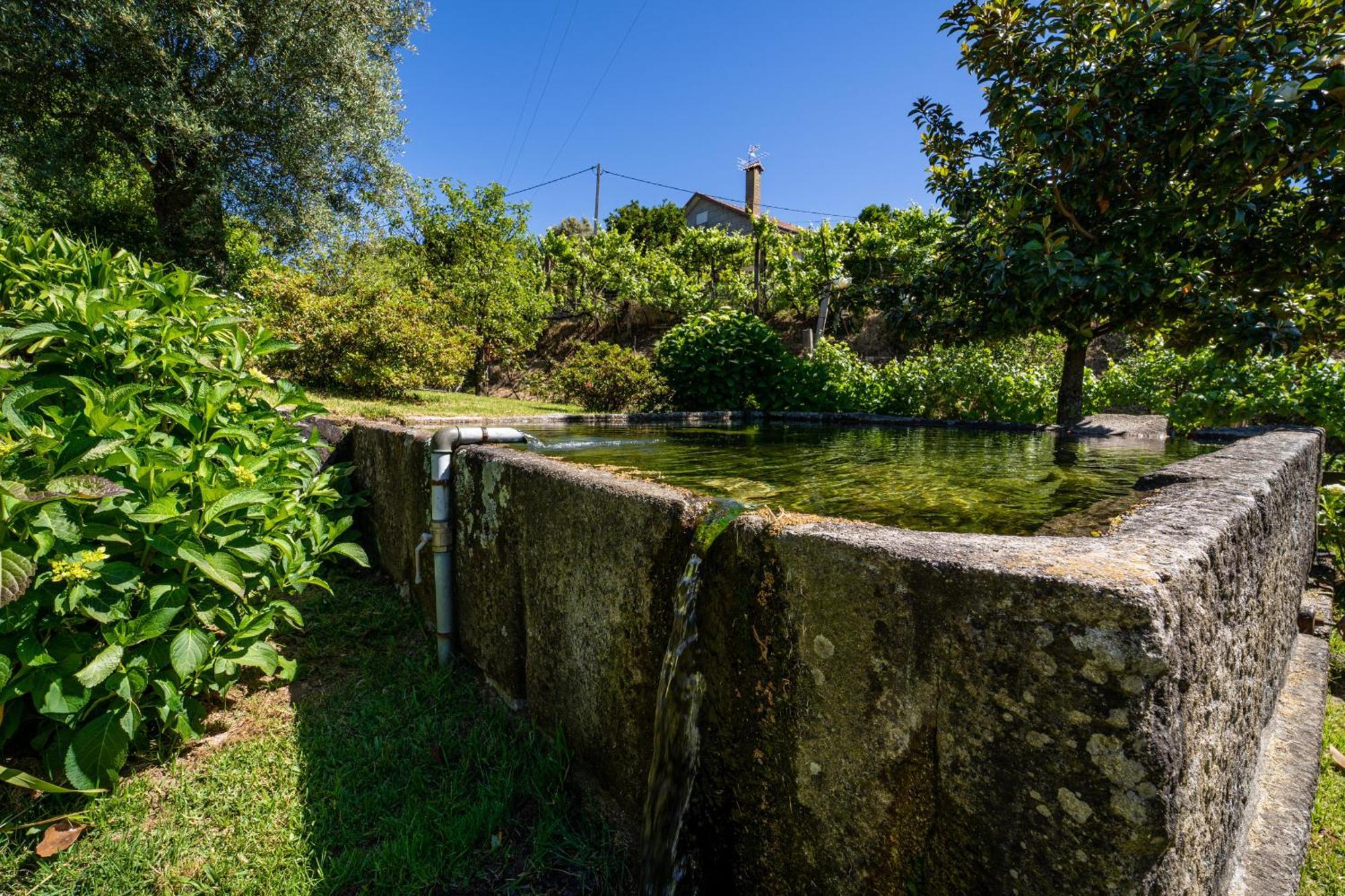 Eido Oliveira - Casa De Campo - Ponte De Lima Anais Exterior foto